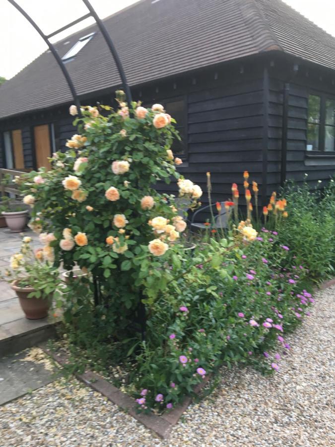 Little Orchard Cottage Canterbury Bagian luar foto
